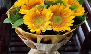 教师节献给老师的歌 教师节献给老师的歌